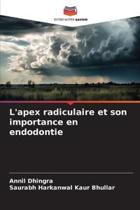L'apex radiculaire et son importance en endodontie