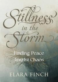 Stillness in the Storm