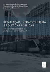 Regulação, Infraestrutura E Políticas Públicas