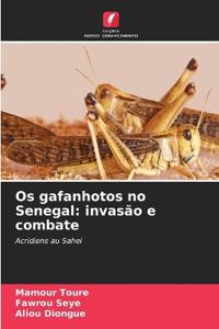 Os gafanhotos no Senegal