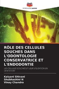 Rôle Des Cellules Souches Dans l'Odontologie Conservatrice Et l'Endodontie