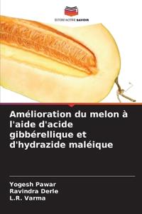 Amélioration du melon à l'aide d'acide gibbérellique et d'hydrazide maléique