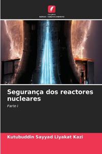Segurança dos reactores nucleares