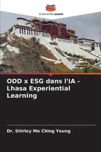 ODD x ESG dans l'IA - Lhasa Experiential Learning