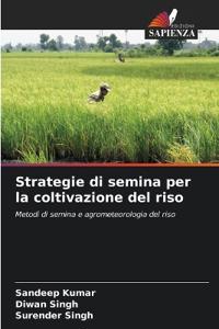 Strategie di semina per la coltivazione del riso