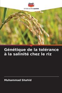 Génétique de la tolérance à la salinité chez le riz