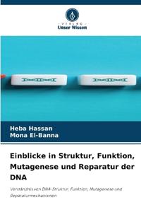 Einblicke in Struktur, Funktion, Mutagenese und Reparatur der DNA
