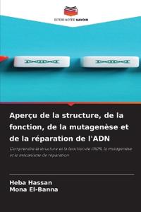 Aperçu de la structure, de la fonction, de la mutagenèse et de la réparation de l'ADN