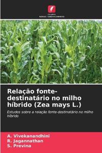 Relação fonte-destinatário no milho híbrido (Zea mays L.)