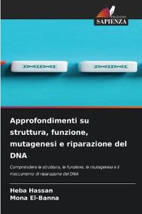 Approfondimenti su struttura, funzione, mutagenesi e riparazione del DNA