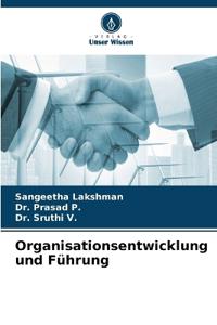 Organisationsentwicklung und Führung