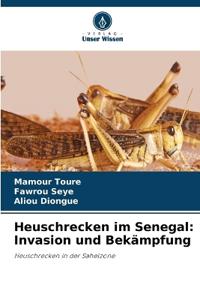 Heuschrecken im Senegal