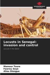 Locusts in Senegal