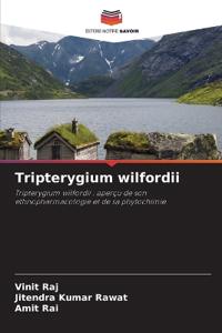Tripterygium wilfordii