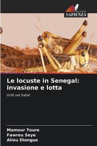 Le locuste in Senegal