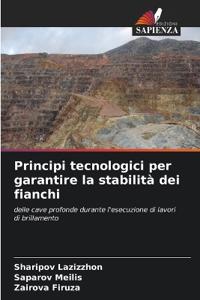 Principi tecnologici per garantire la stabilità dei fianchi