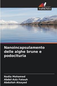 Nanoincapsulamento delle alghe brune e podocituria