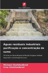 Águas residuais industriais purificação e concentração de sumo
