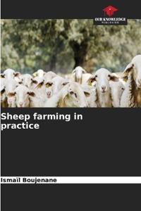 Sheep farming in practice