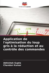 Application de l'optimisation du loup gris à la réduction et au contrôle des commandes