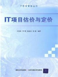 Evaluation and Pricing of IT Projects