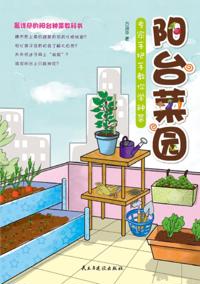 Vegetable Farm in Balcony