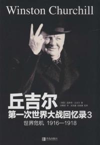 Memoirs of the First World War by Churchill 3