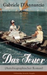 Das Feuer (Autobiographischer Roman)