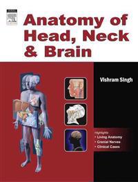 Anatomy of Head, Neck and Brain