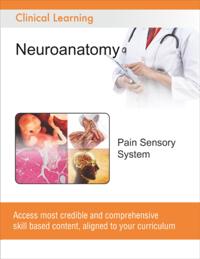 Pain Sensory System