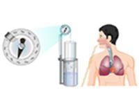Vital Capacity and Effect of Posture