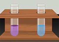 General Tests of Proteins and Precipitation Reactions