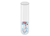 Immunochemical Methods-2