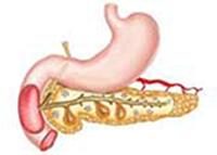 Pancreatic Function Test Part 2