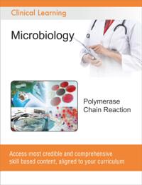 Polymerase Chain Reaction