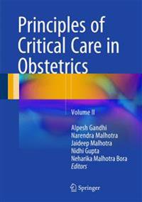 Principles of Critical Care in Obstetrics