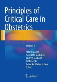 Principles of Critical Care in Obstetrics