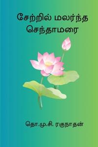 Setril Malarndha Sendamarai