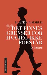Bokomslag för "Det finnes grenser for hva jeg ikke forstår"