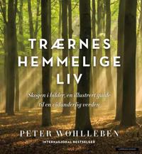 Trærnes hemmelige liv; skogen i bilder