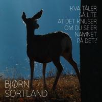 Kva tåler så lite at det knuser om du seier namnet på det?