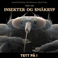 Tett på insekter og småkryp