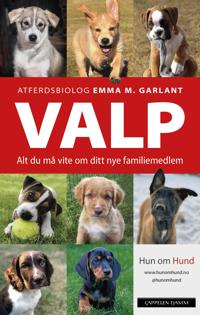 Valp: alt du må vite om ditt nye familiemedlem