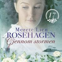 Gjennom stormen
