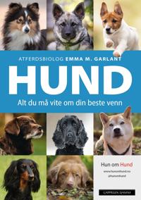 Hund: alt du må vite om din beste venn