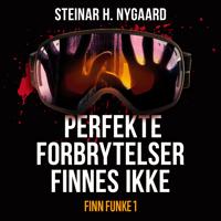 Perfekte forbrytelser finnes ikke