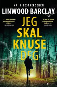 Bokomslag for "Jeg skal knuse deg"