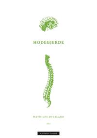 Bokomslag for "Hodegjerde"