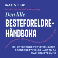 Den lille besteforeldrehåndboka– om kryssende forventninger, grensesetting og jakten på magiske øyeblikk