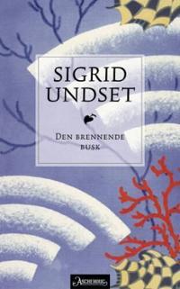 Bokomslag for "Den brennende busk"